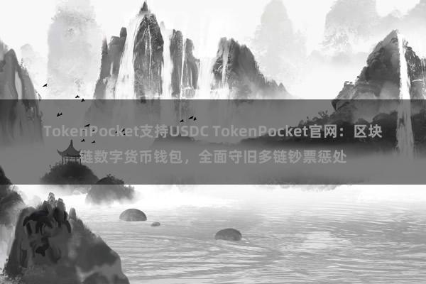 TokenPocket支持USDC TokenPocket官网：区块链数字货币钱包，全面守旧多链钞票惩处