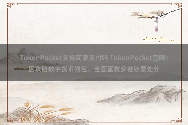 TokenPocket支持商家支付吗 TokenPocket官网：区块链数字货币钱包，全面营救多链钞票处分