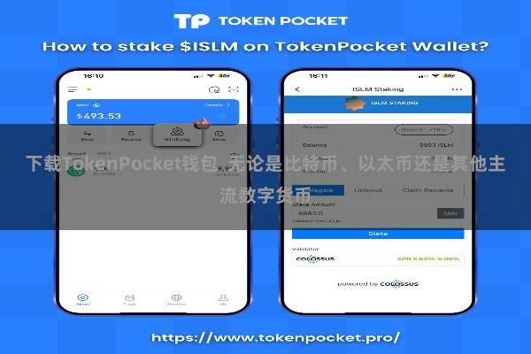 下载TokenPocket钱包  无论是比特币、以太币还是其他主流数字货币